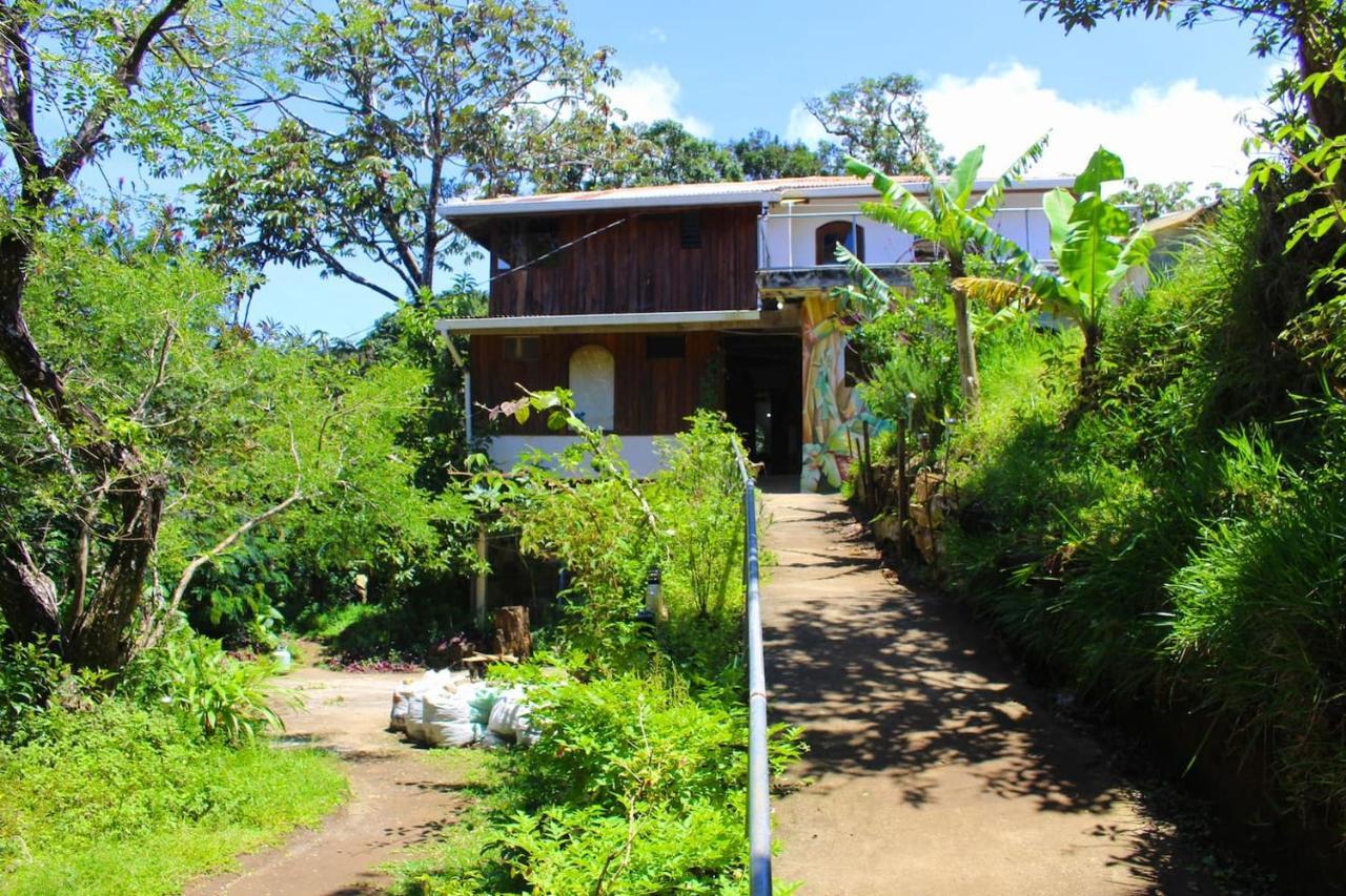Hotel Casa Alquimia à Monteverde Extérieur photo